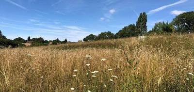 Terrain seul à Montaillé en Sarthe (72) de 700 m² à vendre au prix de 7000€ - 3