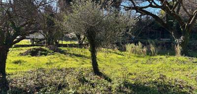 Terrain seul à Montauroux en Var (83) de 520 m² à vendre au prix de 215000€ - 1