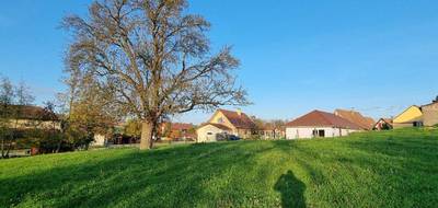 Terrain seul à Eschentzwiller en Haut-Rhin (68) de 571 m² à vendre au prix de 182720€ - 1