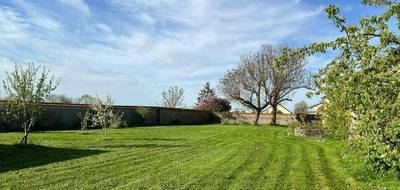 Programme terrain + maison à Noizay en Indre-et-Loire (37) de 50 m² à vendre au prix de 194900€ - 2