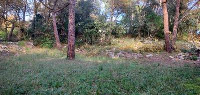 Terrain seul à Tourves en Var (83) de 500 m² à vendre au prix de 140000€ - 4