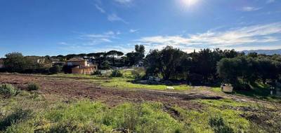 Terrain seul à Puget-sur-Argens en Var (83) de 587 m² à vendre au prix de 250000€ - 1