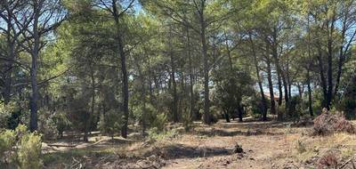 Terrain seul à Pierrefeu-du-Var en Var (83) de 400 m² à vendre au prix de 150000€ - 2