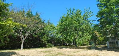 Terrain seul à Soyaux en Charente (16) de 424 m² à vendre au prix de 56500€ - 2