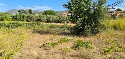 Terrain seul à Montpeyroux en Hérault (34) de 479 m² à vendre au prix de 169500€ - 1