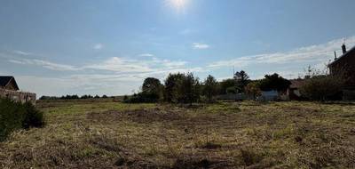 Terrain seul à Farbus en Pas-de-Calais (62) de 1769 m² à vendre au prix de 92200€ - 2