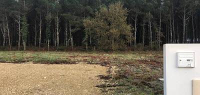 Terrain seul à Saint-Martin-d'Oney en Landes (40) de 706 m² à vendre au prix de 57892€ - 1