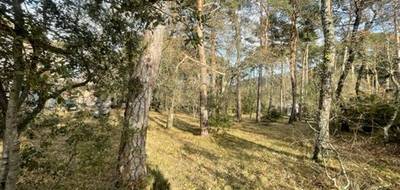 Terrain seul à Plan-d'Aups-Sainte-Baume en Var (83) de 160 m² à vendre au prix de 124000€ - 4