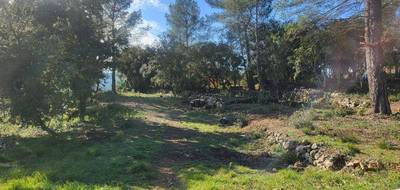 Terrain seul à Montfort-sur-Argens en Var (83) de 1200 m² à vendre au prix de 135000€ - 2