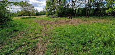 Terrain seul à Montsaunès en Haute-Garonne (31) de 5635 m² à vendre au prix de 53000€ - 2