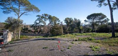 Terrain seul à Cournonsec en Hérault (34) de 900 m² à vendre au prix de 320000€ - 1