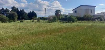 Terrain seul à Cruscades en Aude (11) de 535 m² à vendre au prix de 85000€ - 2