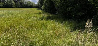 Terrain seul à Draveil en Essonne (91) de 350 m² à vendre au prix de 149000€ - 1