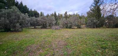 Terrain seul à Maussane-les-Alpilles en Bouches-du-Rhône (13) de 300 m² à vendre au prix de 170000€ - 3