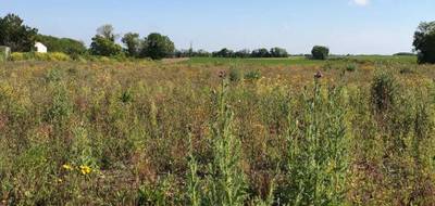 Terrain seul à Sainte-Soulle en Charente-Maritime (17) de 524 m² à vendre au prix de 169500€ - 1