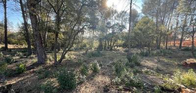 Terrain seul à Trans-en-Provence en Var (83) de 920 m² à vendre au prix de 189000€ - 3