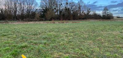 Terrain seul à Savigné-l'Évêque en Sarthe (72) de 288 m² à vendre au prix de 37000€ - 1