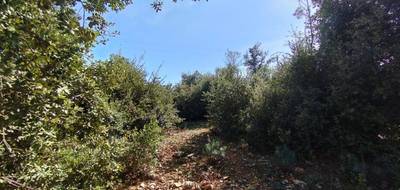 Terrain seul à Orgnac-l'Aven en Ardèche (07) de 1070 m² à vendre au prix de 71000€ - 2