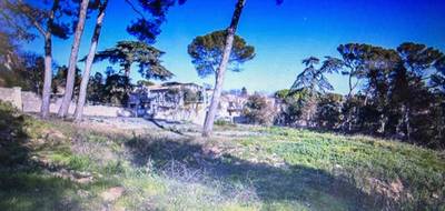 Programme terrain + maison à Cournonsec en Hérault (34) de 100 m² à vendre au prix de 530000€ - 4