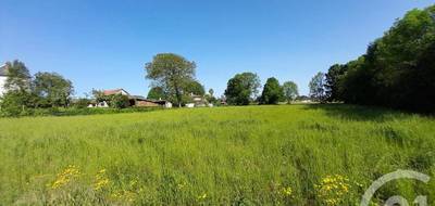 Terrain seul à Capvern en Hautes-Pyrénées (65) de 4904 m² à vendre au prix de 60000€ - 4