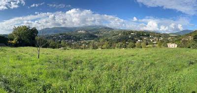 Terrain seul à Opio en Alpes-Maritimes (06) de 2500 m² à vendre au prix de 699000€ - 1