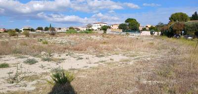 Programme terrain + maison à Loupian en Hérault (34) de 83 m² à vendre au prix de 301000€ - 4