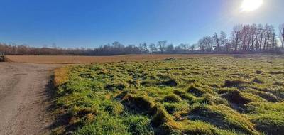 Terrain seul à Mirepoix en Ariège (09) de 1190 m² à vendre au prix de 97000€ - 2