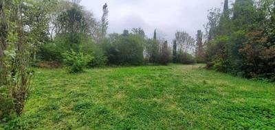 Terrain seul à Trébons-sur-la-Grasse en Haute-Garonne (31) de 1003 m² à vendre au prix de 163000€ - 2