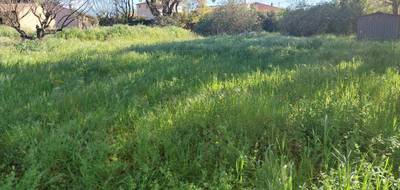 Terrain seul à Roquebrune-sur-Argens en Var (83) de 1127 m² à vendre au prix de 286000€ - 2