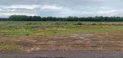 Terrain seul à Douvrin en Pas-de-Calais (62) de 439 m² à vendre au prix de 71000€ - 2