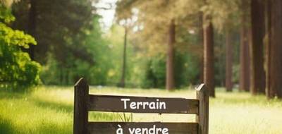 Programme terrain + maison à Beaufou en Vendée (85) de 90 m² à vendre au prix de 231899€ - 3