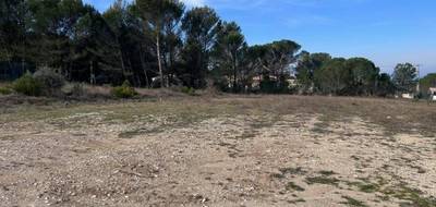 Terrain seul à Alleins en Bouches-du-Rhône (13) de 867 m² à vendre au prix de 319000€ - 4