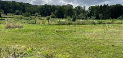 Terrain seul à Conchy-les-Pots en Oise (60) de 1100 m² à vendre au prix de 39000€ - 1