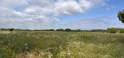 Terrain seul à Floure en Aude (11) de 1184 m² à vendre au prix de 69000€ - 3