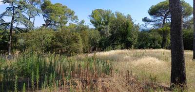 Terrain seul à Cournonsec en Hérault (34) de 1300 m² à vendre au prix de 380000€ - 3