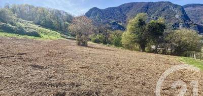 Terrain seul à Cierp-Gaud en Haute-Garonne (31) de 2262 m² à vendre au prix de 39000€ - 3