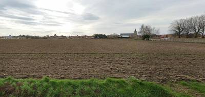 Programme terrain + maison à Audruicq en Pas-de-Calais (62) de 85 m² à vendre au prix de 265200€ - 3