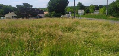 Terrain seul à Baigneaux en Gironde (33) de 800 m² à vendre au prix de 49500€ - 2