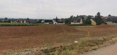 Programme terrain + maison à Beblenheim en Haut-Rhin (68) de 187 m² à vendre au prix de 634000€ - 3