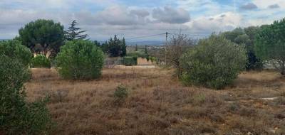 Terrain seul à Marcorignan en Aude (11) de 527 m² à vendre au prix de 126900€ - 2