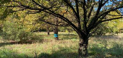 Terrain seul à Pignans en Var (83) de 500 m² à vendre au prix de 115000€ - 3