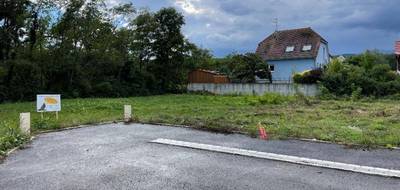 Terrain seul à Issenheim en Haut-Rhin (68) de 397 m² à vendre au prix de 88500€ - 3