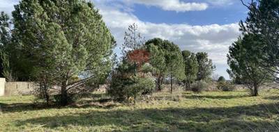 Terrain seul à Saint-André-de-Sangonis en Hérault (34) de 500 m² à vendre au prix de 142000€ - 1