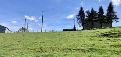 Terrain seul à Allassac en Corrèze (19) de 2000 m² à vendre au prix de 49000€ - 4