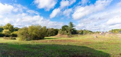 Terrain seul à Saint-Antoine-du-Rocher en Indre-et-Loire (37) de 290 m² à vendre au prix de 48000€ - 1