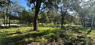 Terrain seul à Roquebrune-sur-Argens en Var (83) de 1000 m² à vendre au prix de 407000€ - 2