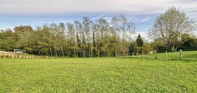 Terrain seul à Montfort-en-Chalosse en Landes (40) de 1501 m² à vendre au prix de 70500€ - 1