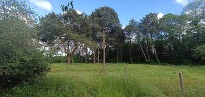 Terrain seul à Saint-Aubin-de-Médoc en Gironde (33) de 610 m² à vendre au prix de 262000€ - 2