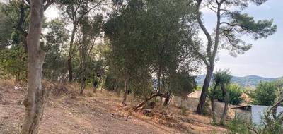 Terrain seul à La Seyne-sur-Mer en Var (83) de 600 m² à vendre au prix de 235000€ - 3