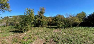 Terrain seul à Carnoules en Var (83) de 250 m² à vendre au prix de 83000€ - 2